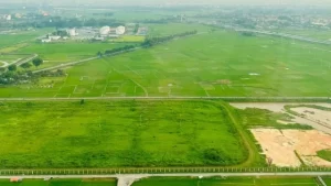 Miễn tiền sử dụng đất trong hạn mức, vượt nộp 30–50%